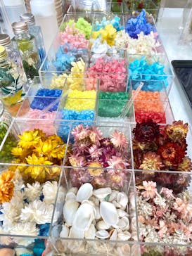 ずこうしつ〜sugamo〜に投稿された画像（2020/6/27）