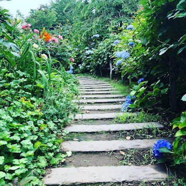 横浜イングリッシュガーデンに投稿された画像（2020/6/27）