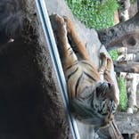 神戸どうぶつ王国に投稿された画像（2020/6/27）