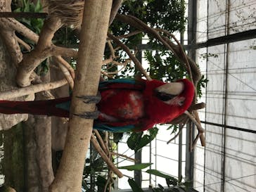 神戸どうぶつ王国に投稿された画像（2020/6/27）