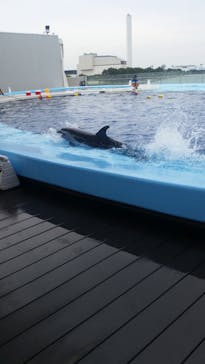 四国水族館に投稿された画像（2020/6/28）
