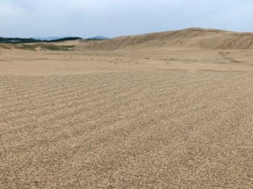 TRAIL ON（トレイル オン）に投稿された画像（2020/6/28）