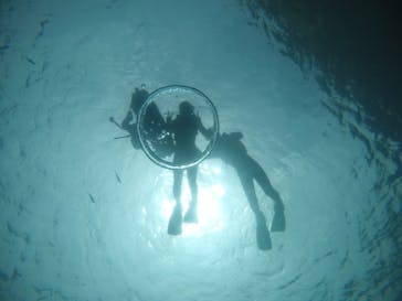 武藤潜水に投稿された画像（2020/6/28）