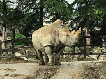 群馬サファリパークに投稿された画像（2020/6/28）