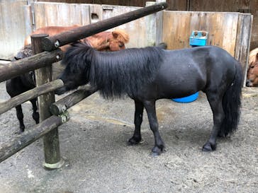 群馬サファリパークに投稿された画像（2020/6/28）