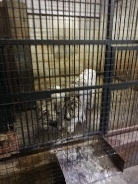 群馬サファリパークに投稿された画像（2020/6/28）