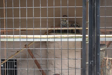 沖縄こどもの国に投稿された画像（2020/6/28）