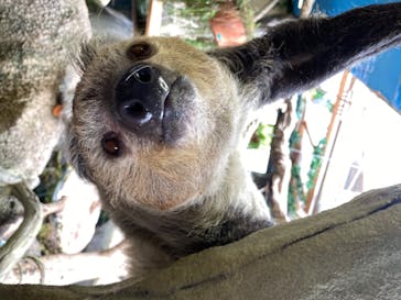 那須どうぶつ王国に投稿された画像（2020/6/28）