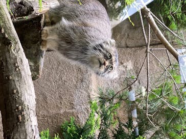 那須どうぶつ王国に投稿された画像（2020/6/28）