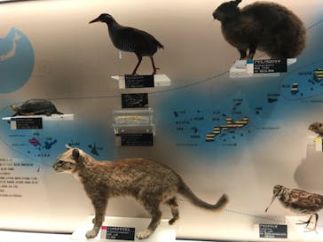 国立科学博物館に投稿された画像（2020/6/28）