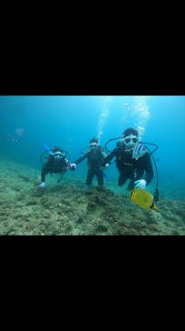 青の洞窟専門店　沖縄ダイビングショップ和に投稿された画像（2020/6/28）