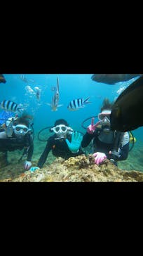 青の洞窟専門店　沖縄ダイビングショップ和に投稿された画像（2020/6/28）