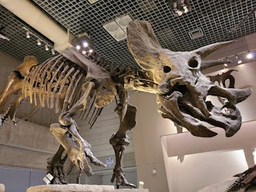 国立科学博物館に投稿された画像（2020/6/28）