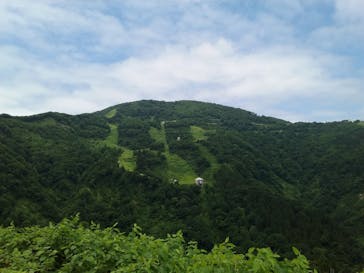 湯沢高原スキー場/パノラマパークに投稿された画像（2020/6/28）