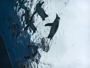 サンシャイン水族館に投稿された画像（2020/6/28）