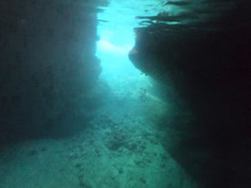 DIVING-SHOP SUNSに投稿された画像（2020/6/29）