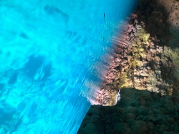 DIVING-SHOP SUNSに投稿された画像（2020/6/29）