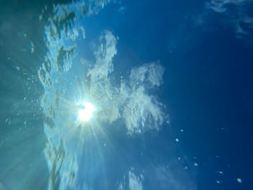 DIVING-SHOP SUNSに投稿された画像（2020/6/29）