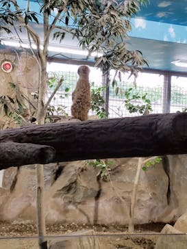 那須どうぶつ王国に投稿された画像（2020/6/29）