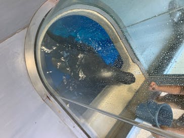 鳥羽水族館に投稿された画像（2020/6/29）