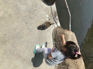 神戸どうぶつ王国に投稿された画像（2020/6/29）