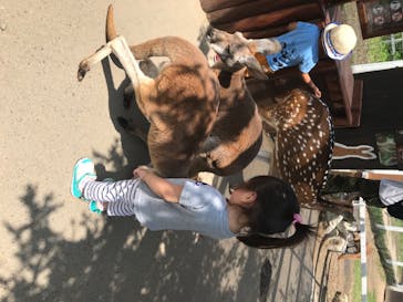 神戸どうぶつ王国に投稿された画像（2020/6/29）