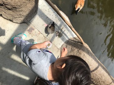 神戸どうぶつ王国に投稿された画像（2020/6/29）