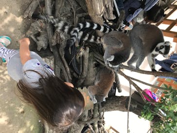 神戸どうぶつ王国に投稿された画像（2020/6/29）