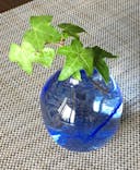 アトリエガラス工房ZO（ゾウ）に投稿された画像（2020/6/26）