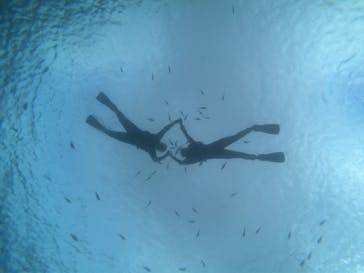 MalDive（モルダイブ）に投稿された画像（2020/6/29）