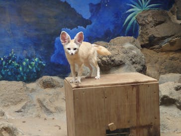 伊豆シャボテン動物公園に投稿された画像（2020/6/30）