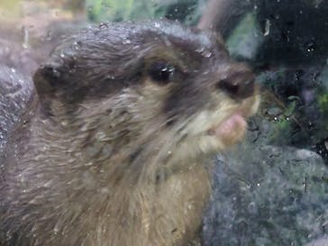 伊豆シャボテン動物公園に投稿された画像（2020/6/30）