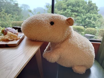 伊豆シャボテン動物公園に投稿された画像（2020/6/30）