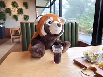 伊豆シャボテン動物公園に投稿された画像（2020/6/30）