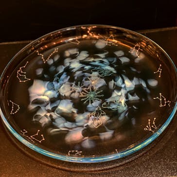 ちいさな硝子の本の博物館に投稿された画像（2020/6/30）