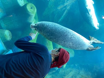 旭川市旭山動物園に投稿された画像（2020/6/30）