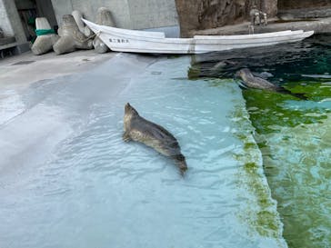 旭川市旭山動物園に投稿された画像（2020/6/30）
