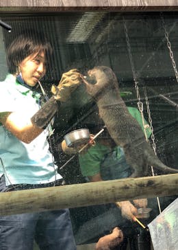 サンシャイン水族館に投稿された画像（2020/6/30）