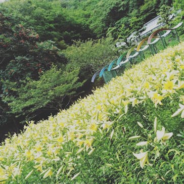 神戸布引ハーブ園／ロープウェイに投稿された画像（2020/6/30）