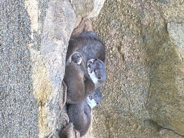 那須どうぶつ王国に投稿された画像（2020/6/30）