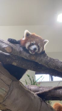 那須どうぶつ王国に投稿された画像（2020/6/30）