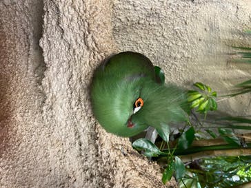 那須どうぶつ王国に投稿された画像（2020/6/30）