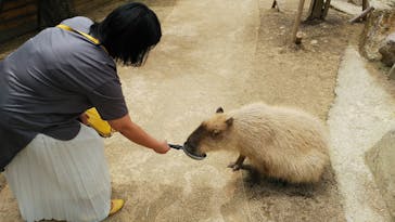 那須どうぶつ王国に投稿された画像（2020/7/2）