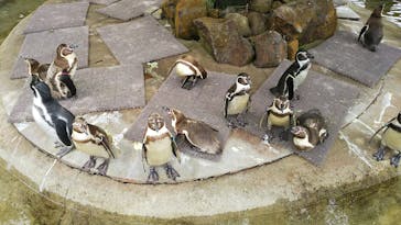 那須どうぶつ王国に投稿された画像（2020/7/2）