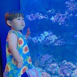 サンシャイン水族館に投稿された画像（2020/7/2）