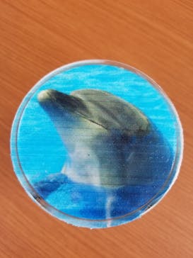 四国水族館に投稿された画像（2020/7/2）