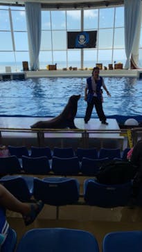 アクアワールド茨城県大洗水族館に投稿された画像（2020/7/2）