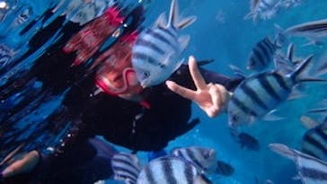 ダイビングショップ Sea Free（シーフリー）に投稿された画像（2020/7/3）