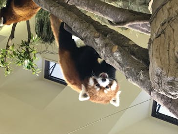 那須どうぶつ王国に投稿された画像（2020/7/3）