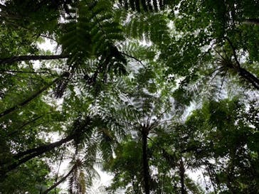 奄美海族塾に投稿された画像（2020/7/3）